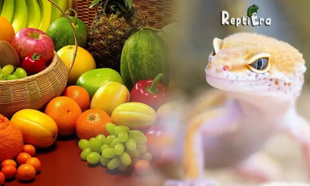 Can Leopard Geckos Eat Fruit: Healthy or Harmful?