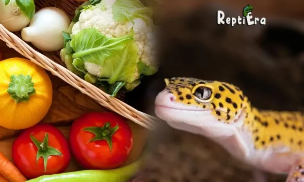 Herbivore Geckos? Can Leopard Geckos Eat Veggies