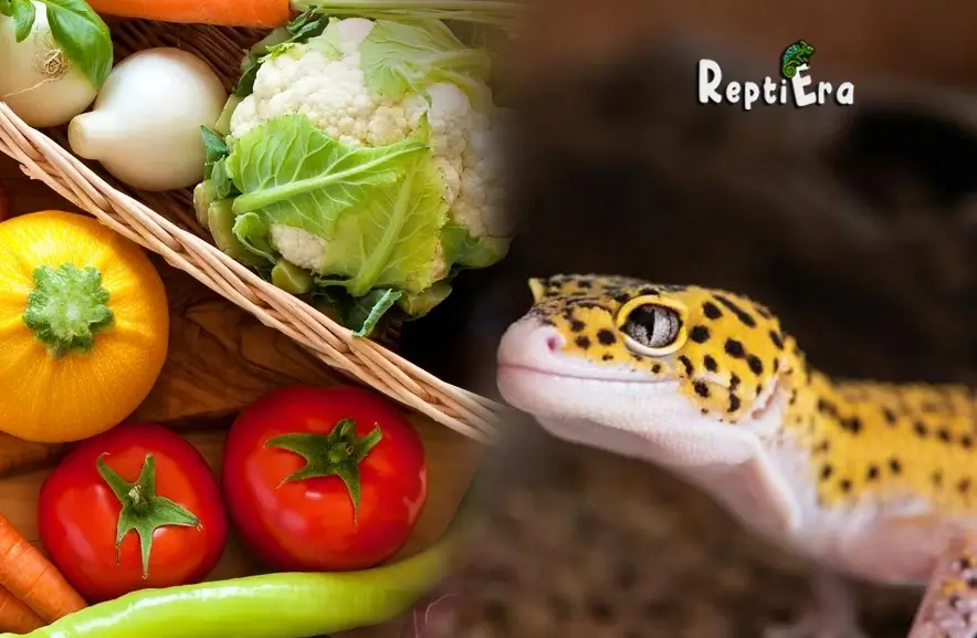 Herbivore Geckos? Can Leopard Geckos Eat Veggies