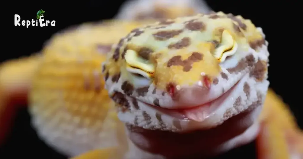  What Can Live With A Leopard Gecko