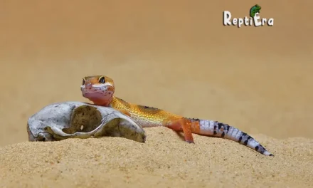 Geckos’ Groundwork: Do Leopard Geckos Need Substrate?