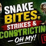 Snake Bites, Strikes & Constricting — Oh My! [Danger]