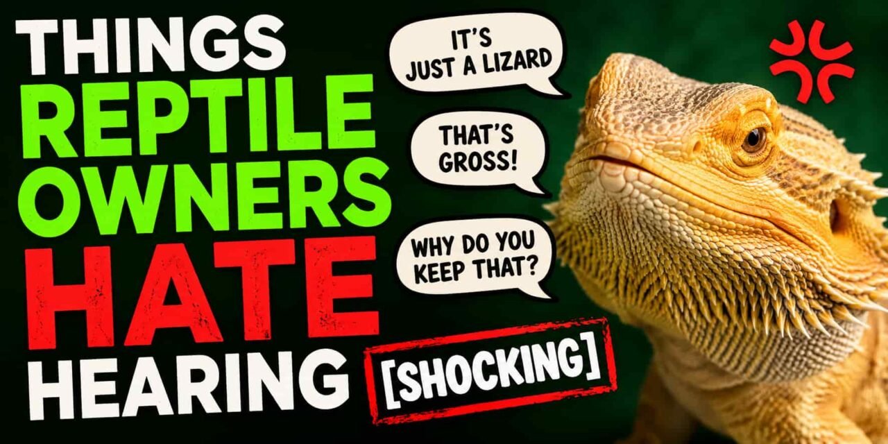 Things Reptile Owners Hate Hearing [Shocking]