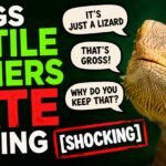 Things Reptile Owners Hate Hearing [Shocking]