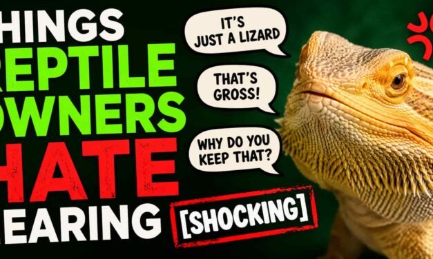 Things Reptile Owners Hate Hearing [Shocking]